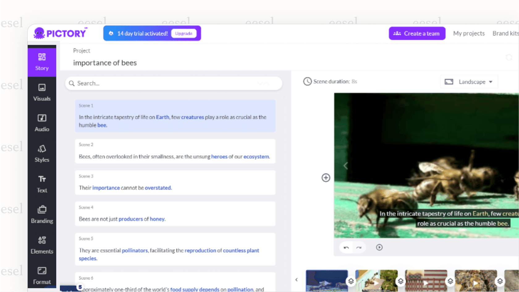 Screenshot of the Pictory interface, a Youtube AI tool that automatically generates a video storyboard from text, pairing sentences with stock footage and visuals.