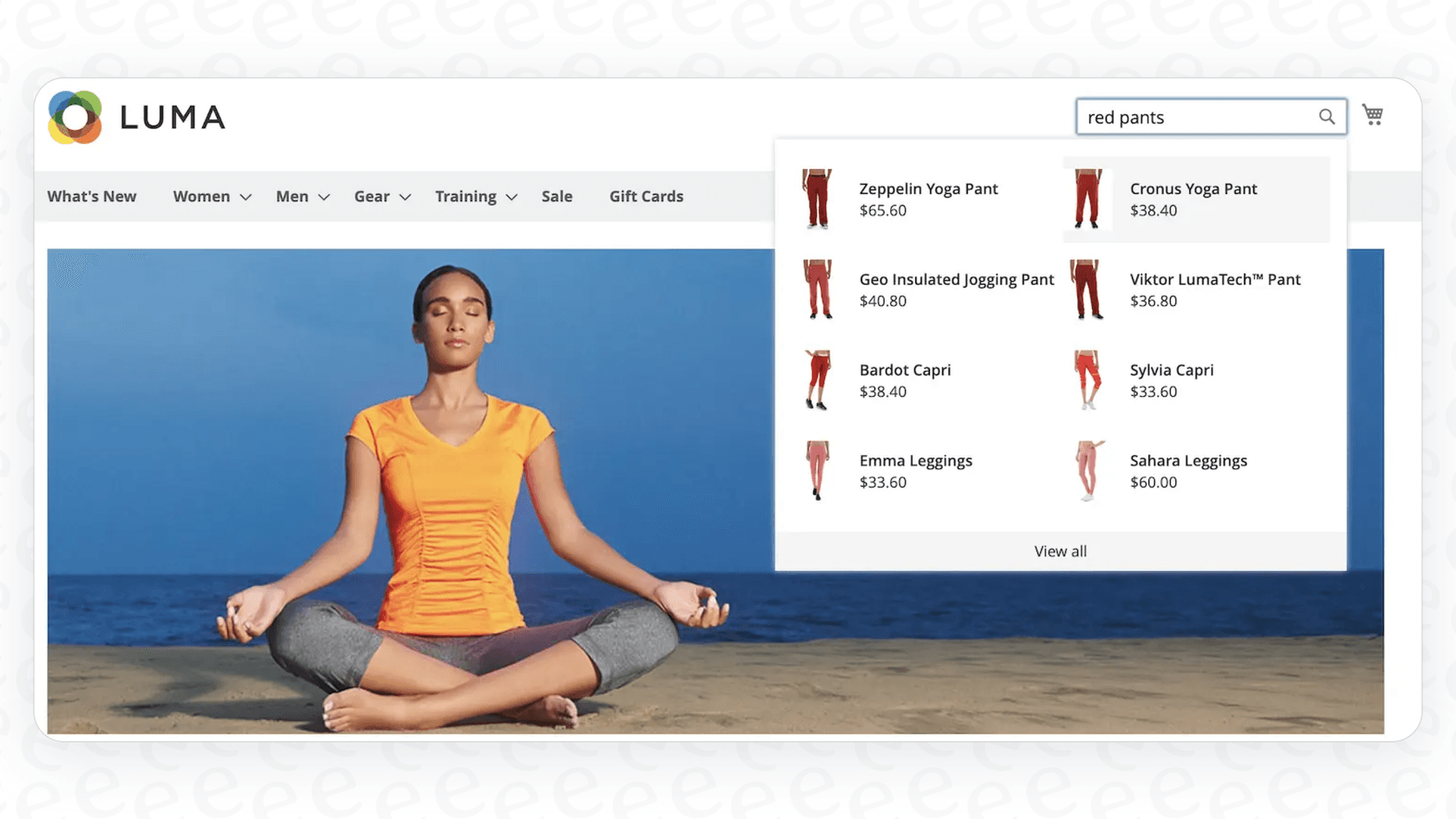 Example of Live Search in Magento.