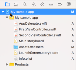 Xcode project navigator showing iOS app file structure