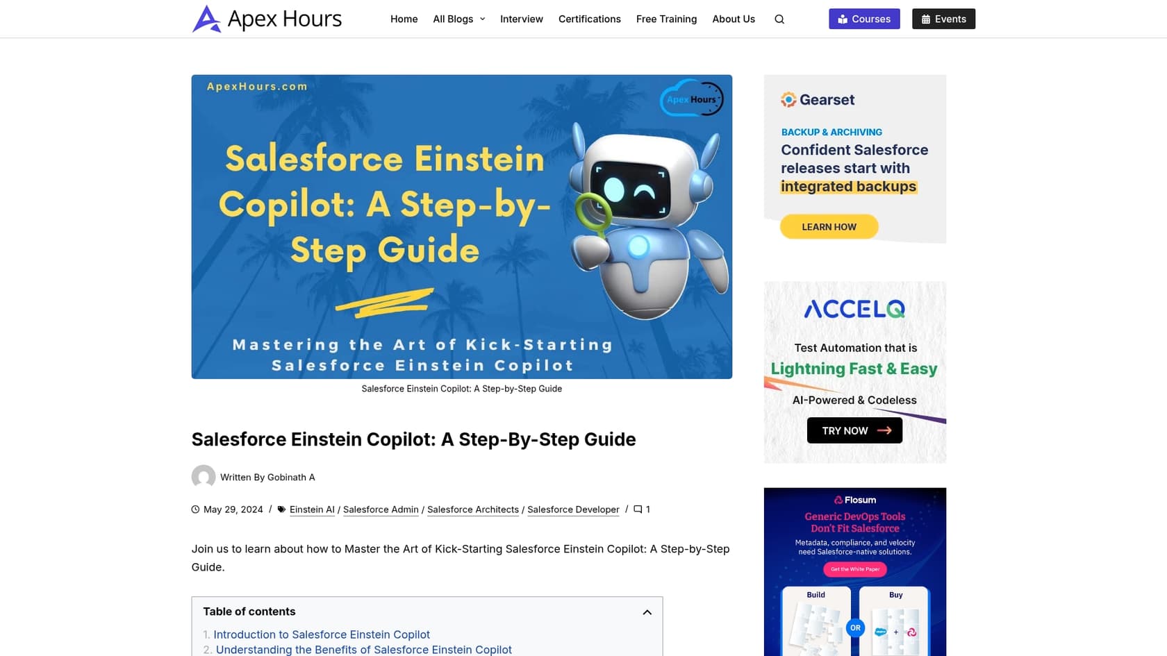 A screenshot of the Apex Hours guide on setting up Salesforce Einstein Copilot, highlighting the technical steps involved.