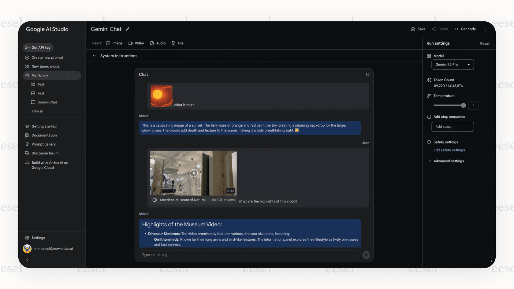Google Gemini interface analyzing text and an image.