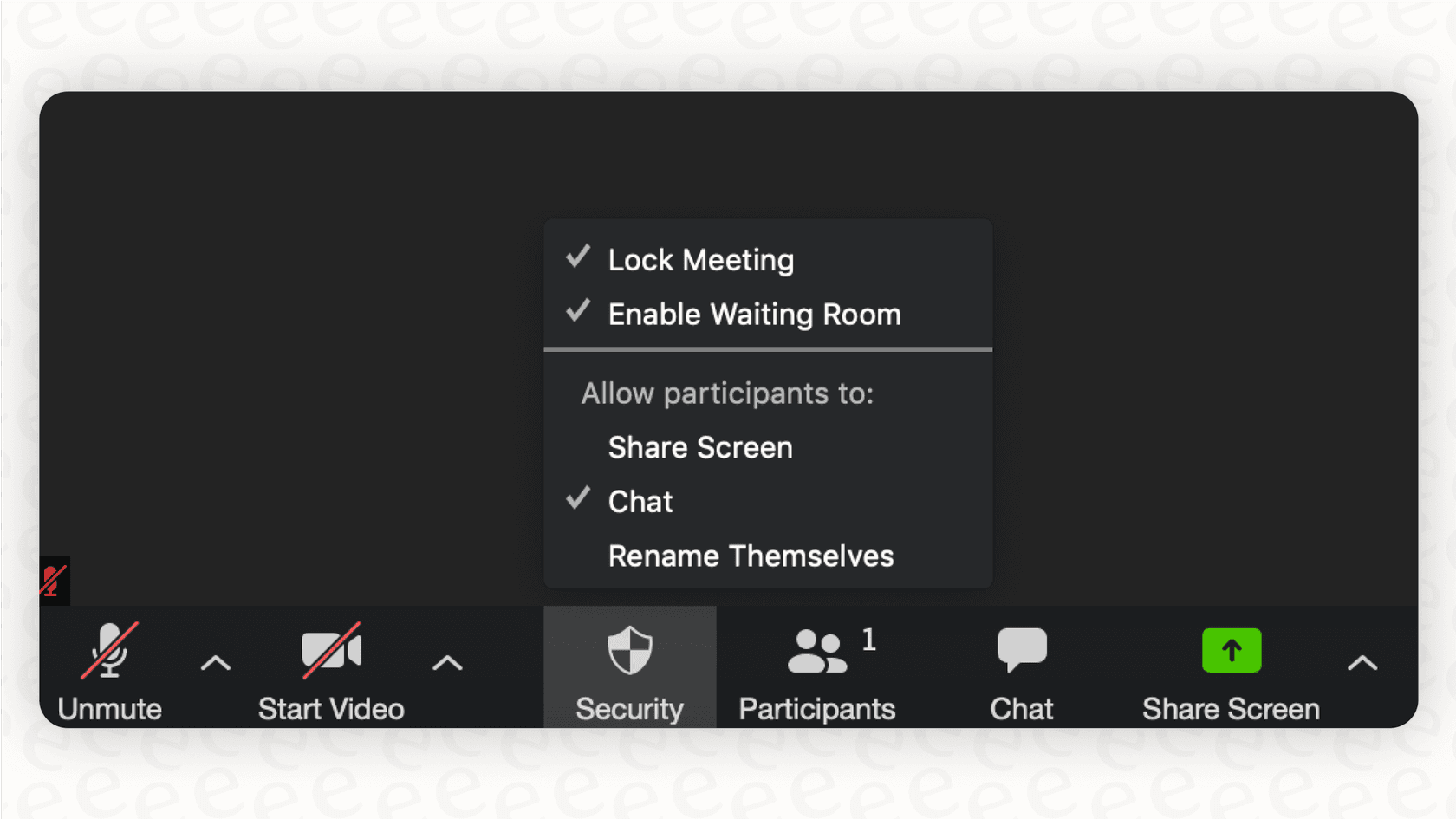 A screenshot providing a quick Zoom overview of the host
