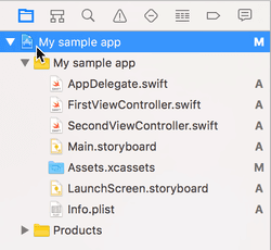 Xcode project navigator showing iOS application file structure