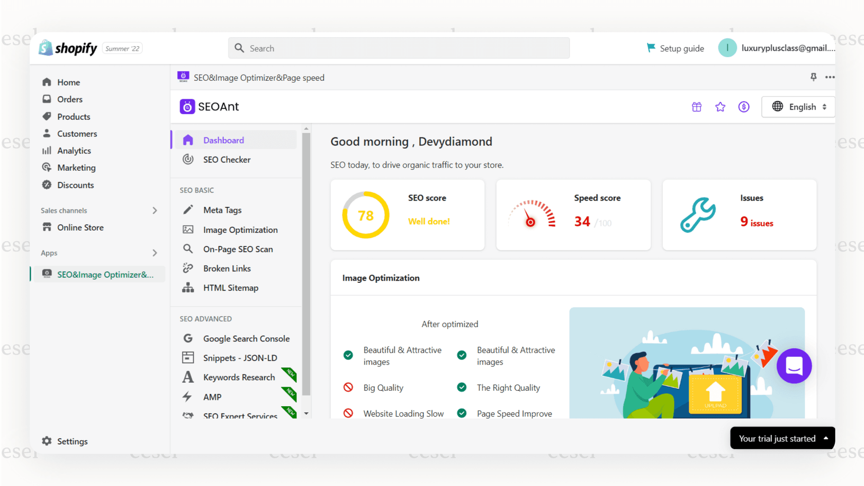 Screenshot of SEOAnt dashboard showing SEO scan using Shopify AI apps.