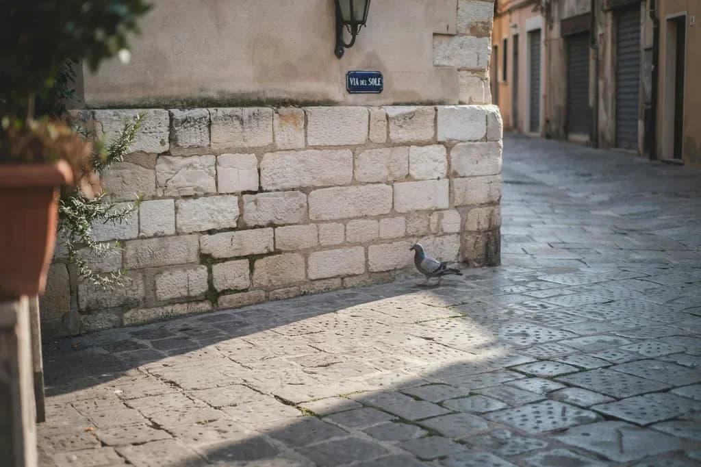 The same cobblestone plaza with the bicycle removed and the paving redrawn underneath, via Ideogram