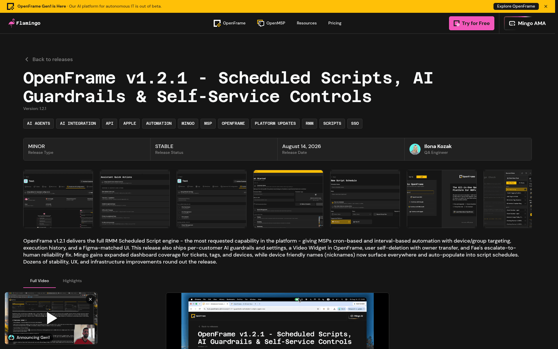 Flamingo's v1.2.1 release notes page showing the version metadata and OpenFrame product screenshots, as published on flamingo.run