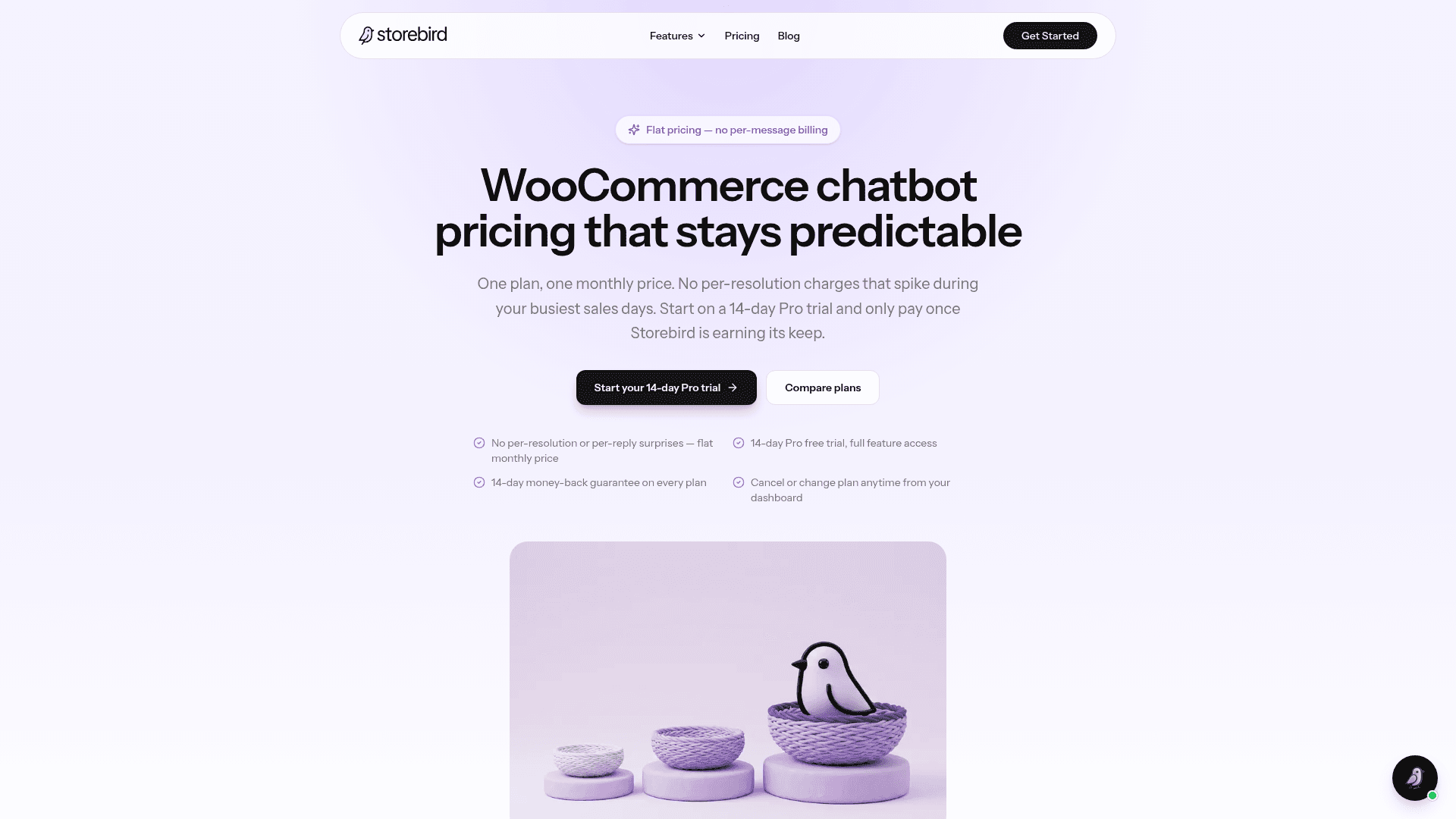 Storebird pricing page header: flat monthly pricing, 14-day Pro trial, and a 14-day money-back guarantee, as captured from the Storebird pricing page