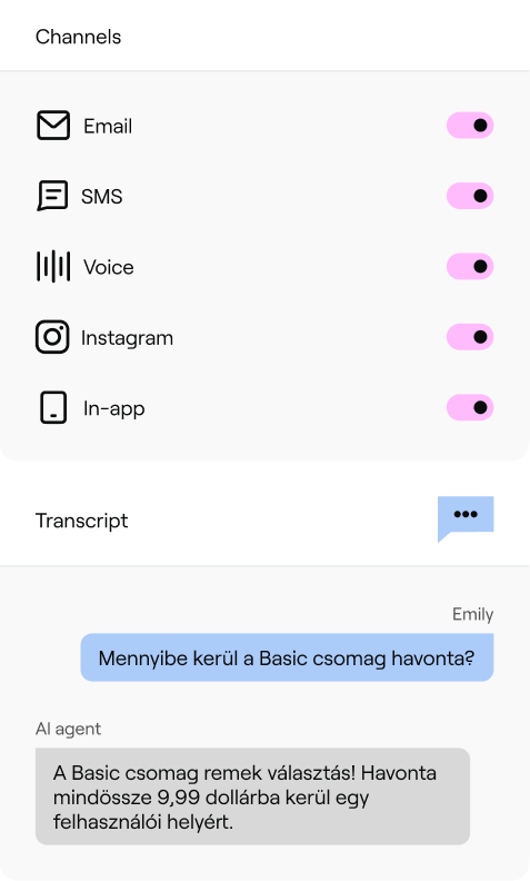 メール、SMS、音声、Instagram、アプリ内のチャネル切り替えと、ハンガリー語で料金に関する質問に答えるエージェント、Adaより