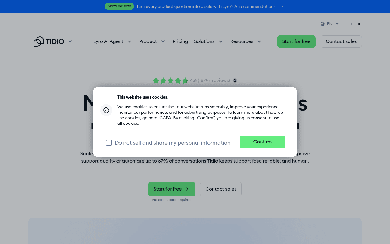 Tidio homepage showing the Lyro AI customer service platform, as taken from Tidio