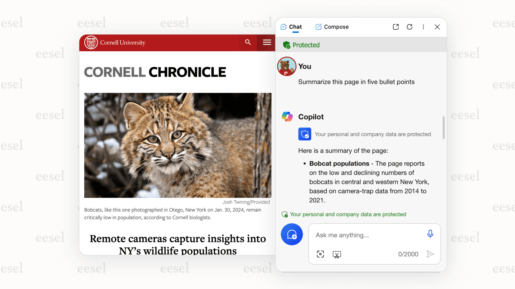 Screenshot of the Microsoft AI copilot interface appearing in a sidebar to assist a user with a general productivity task.