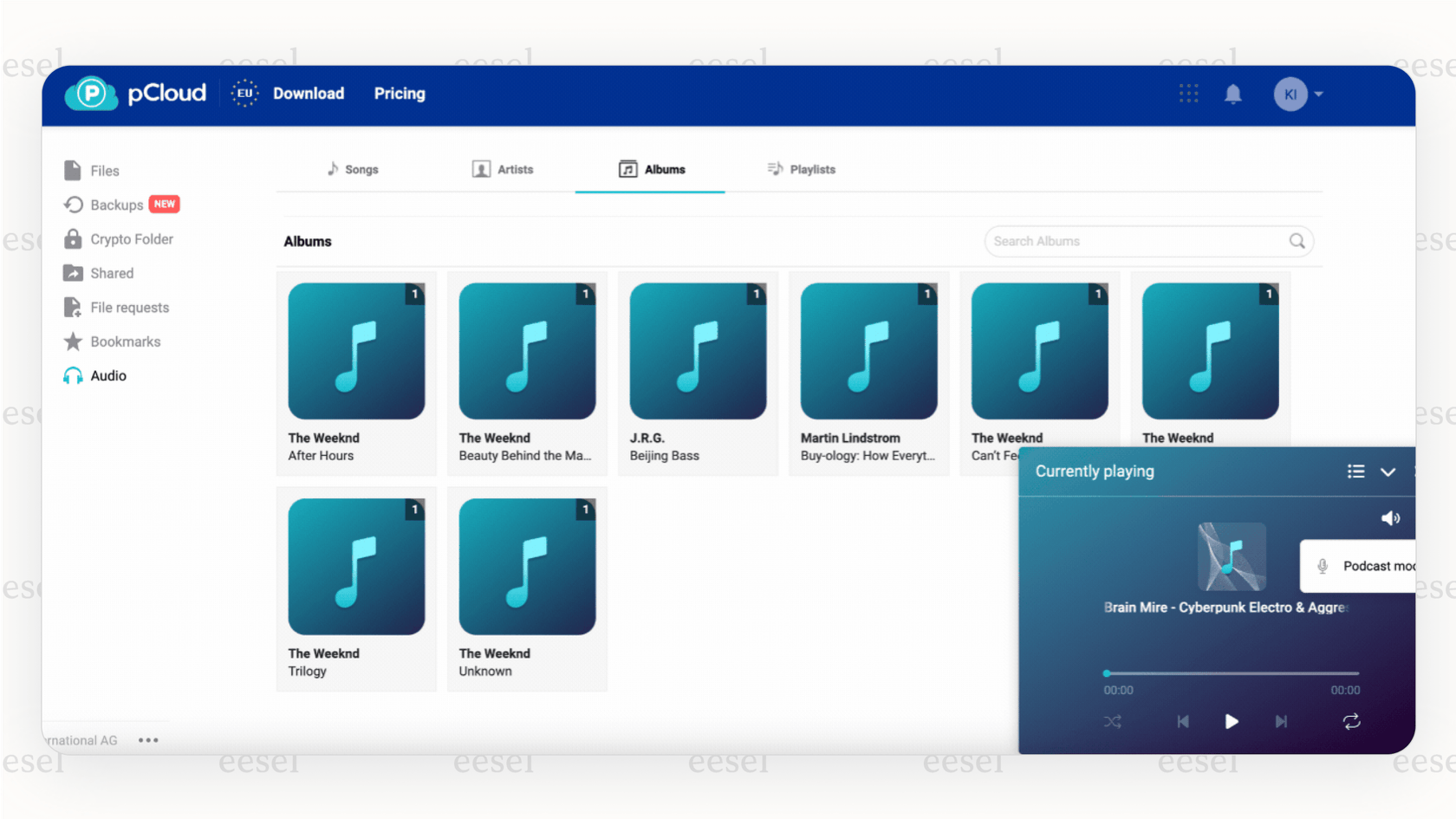 Ein Screenshot des pCloud-Mediaplayers, ein Merkmal, das es von anderen Google Drive-Alternativen unterscheidet, insbesondere für Nutzer mit großen Medienbibliotheken.