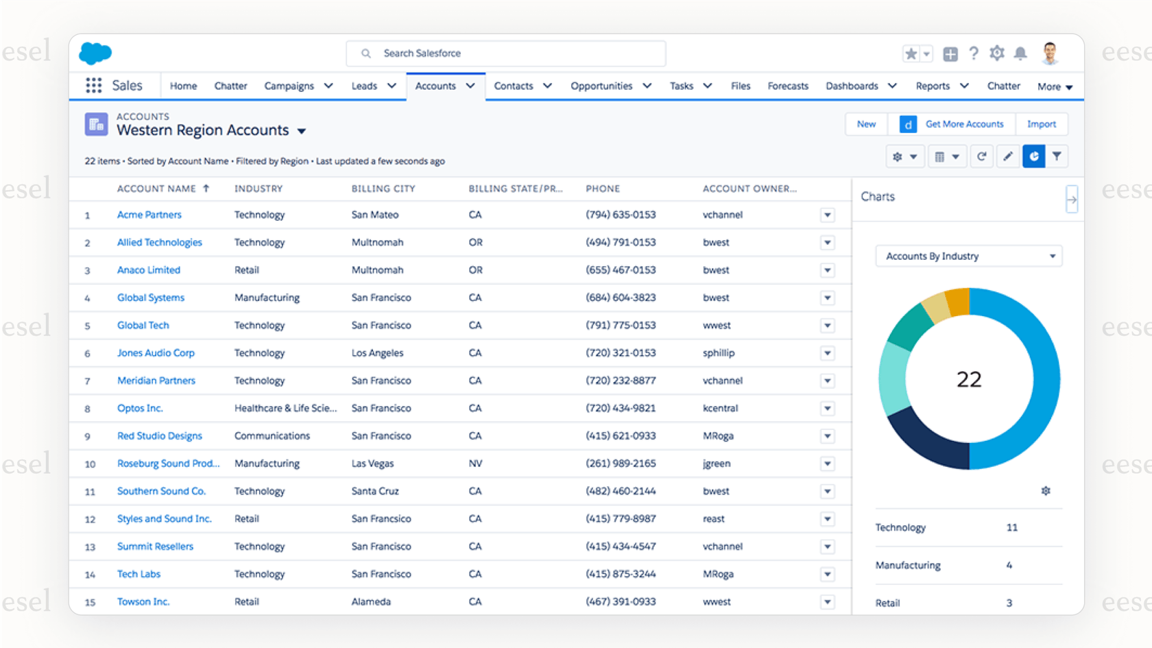 Un exemple de la vue client à 360 degrés dans Salesforce, qui peut être améliorée par l'intégration Zendesk Salesforce pour inclure les tickets de support.