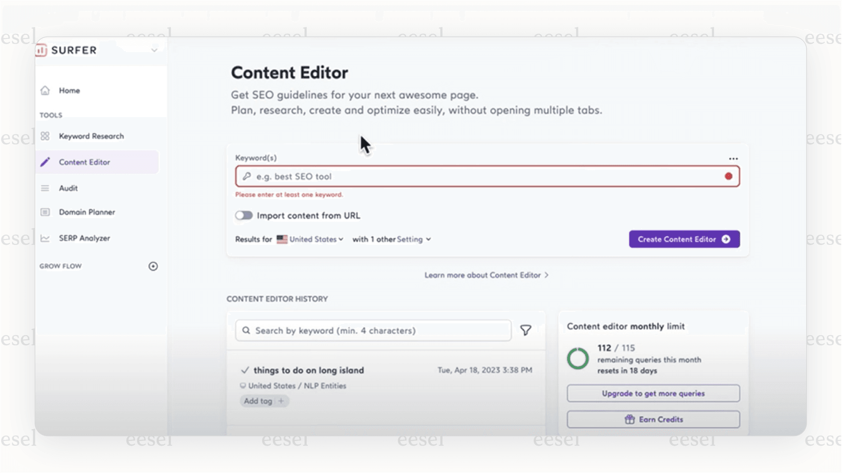 A screenshot of Surfer