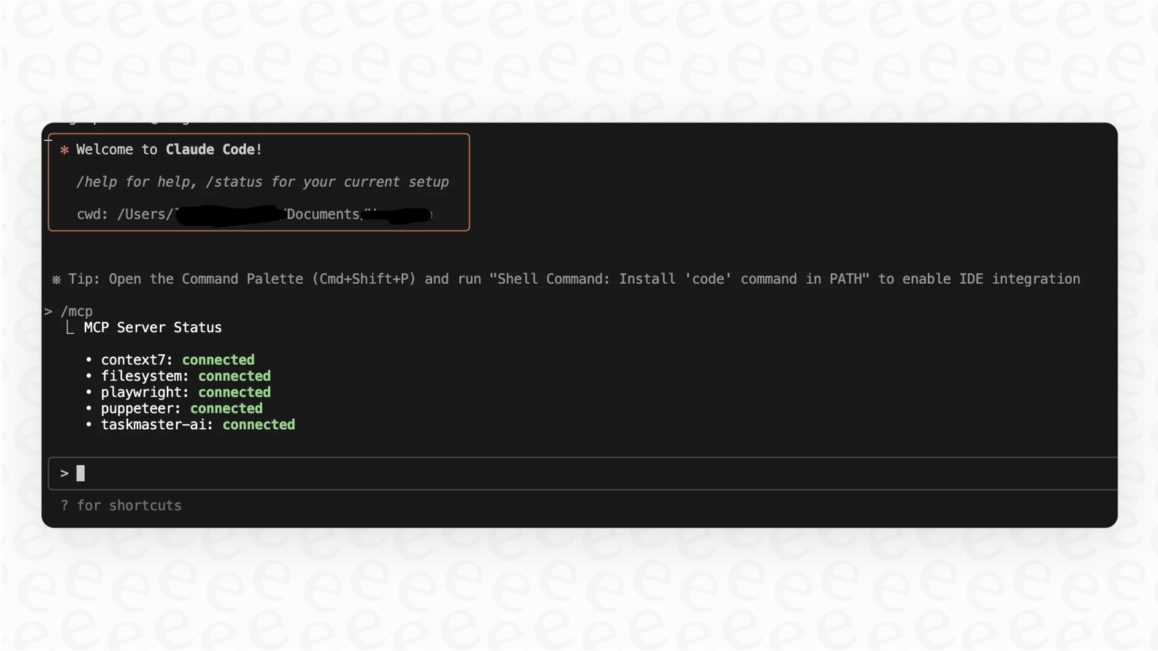 A terminal window displaying the command-line interface used for a developer