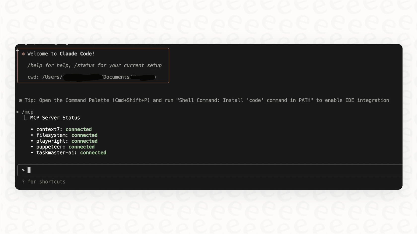 A terminal window displaying the command-line interface used for a developer