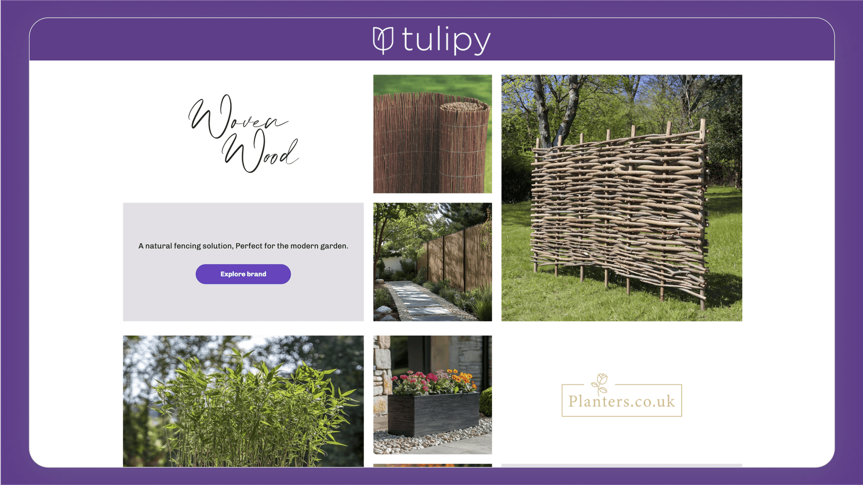 Screenshot of Tulipy's website.