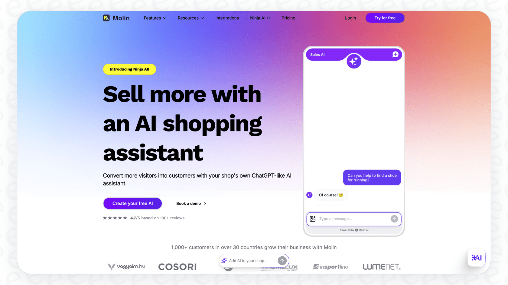 A screenshot of the Molin AI homepage, which details the features included in the Molin AI pricing.