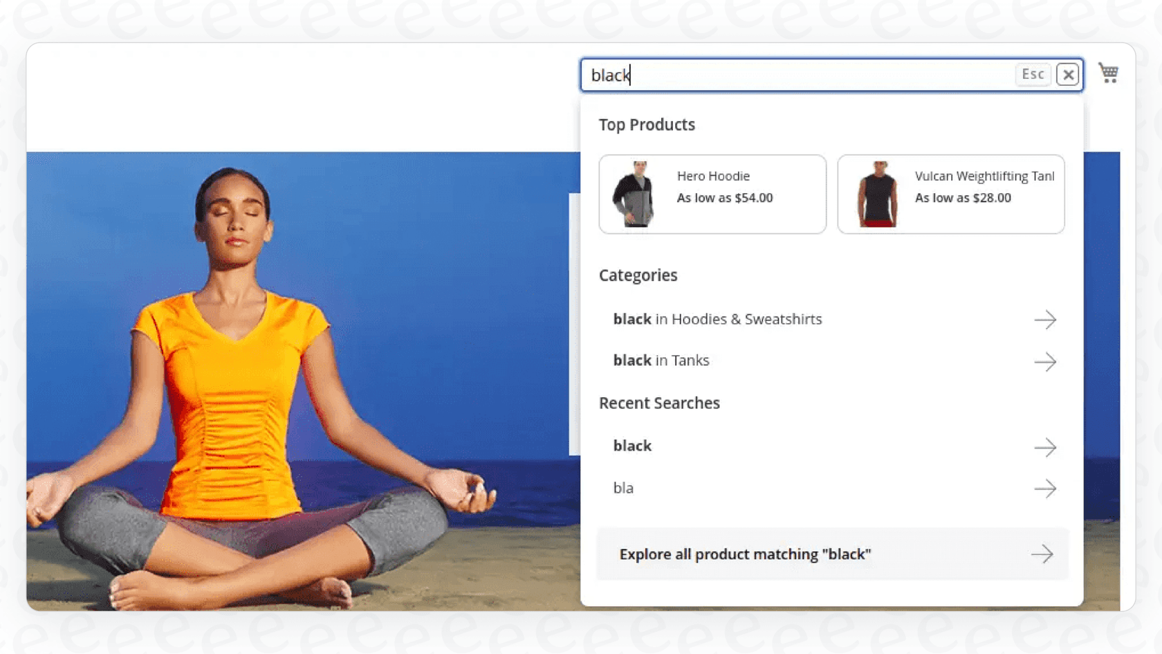 An example of AI-powered search understanding a customer