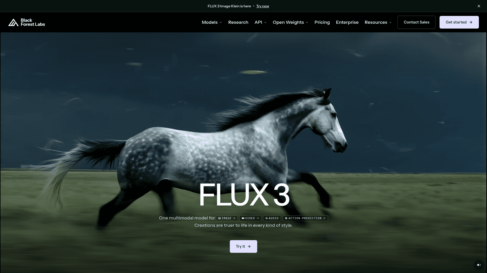 Black Forest Labs homepage with the FLUX 3 hero, a "Try it" button, and navigation for Models, API, Open Weights and Pricing, as taken from Black Forest Labs