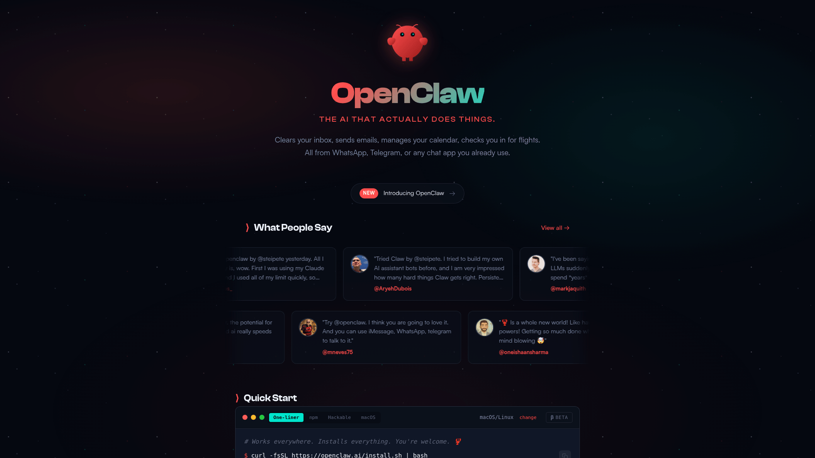 The official landing page of Molt Bot, an open-source personal AI assistant.