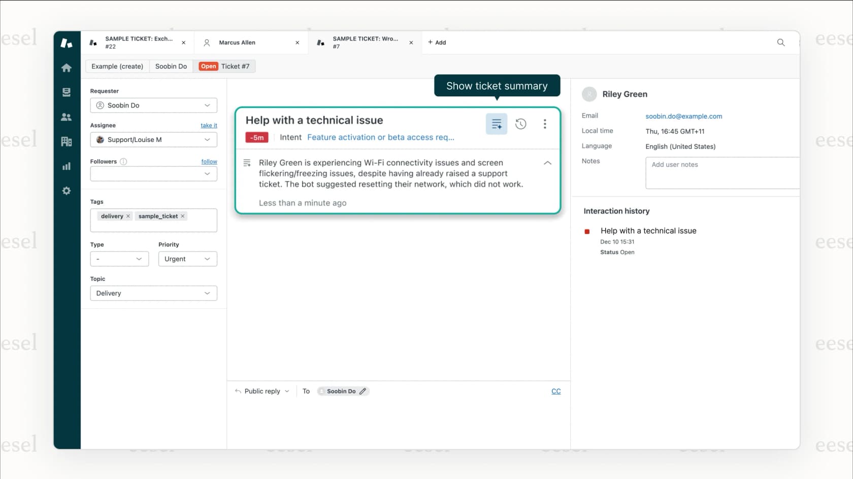 Zendesk Agent Workspace summarizing an issue for a human agent.