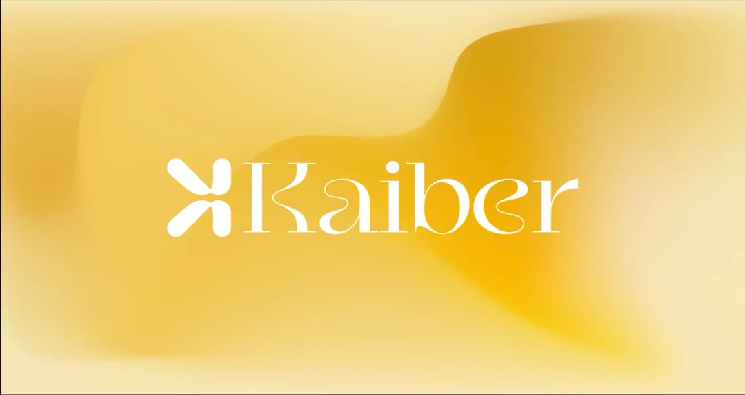 Un aperçu complet de Kaiber pour 2025 : Fonctionnalités, tarifs et limites