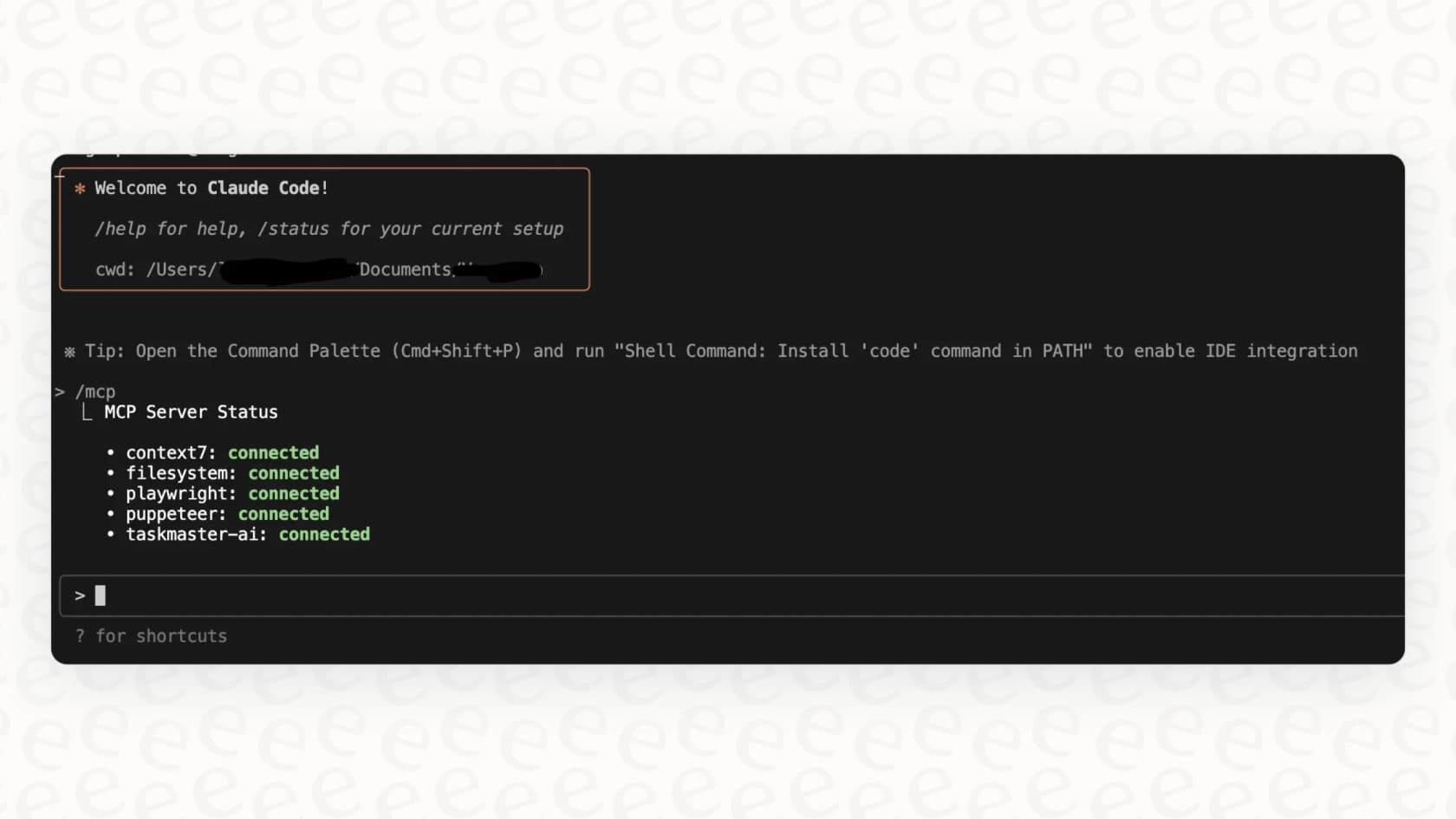 An example of the TypeScript Claude Code SDK